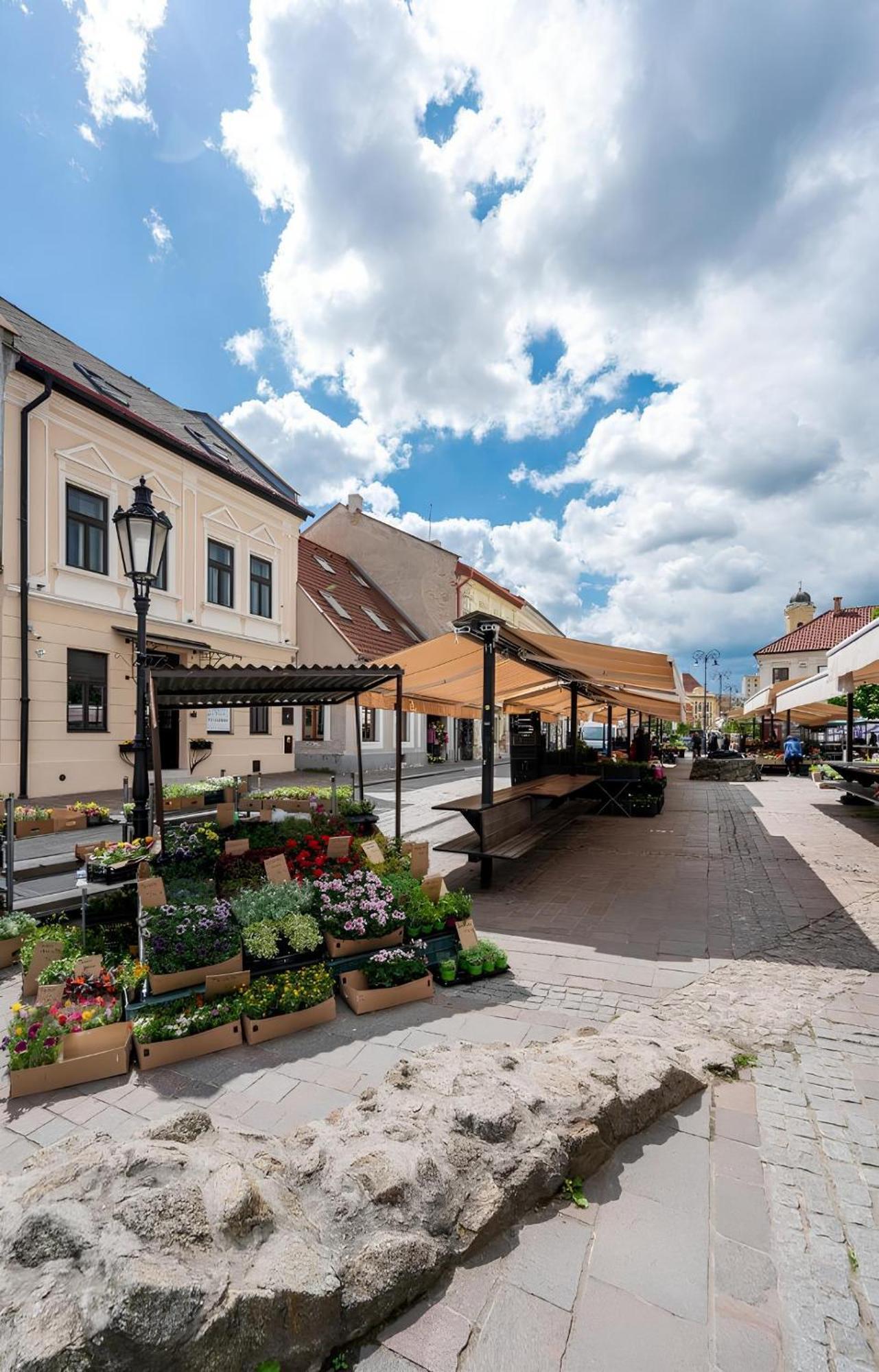 Hotel Zlate Kosice Exterior photo
